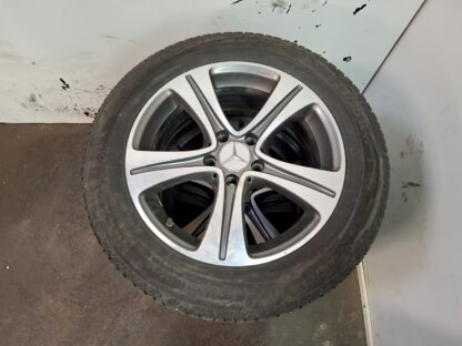 839237 - Image 3