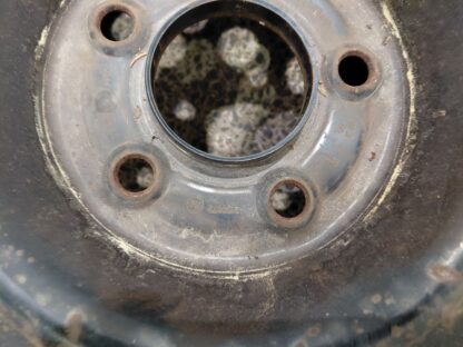 841476 - Image 9