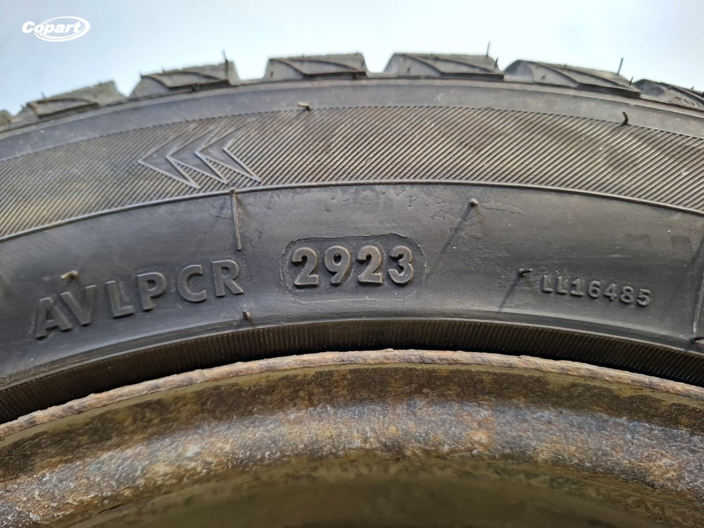 858254 - Image 5